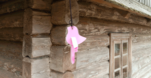 «Адпачынак у Музеі: сямейны білет»