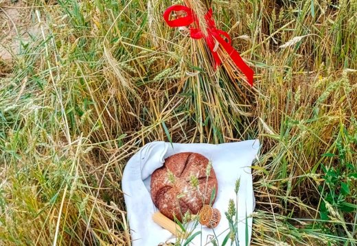 Свята «Дажынкі»
