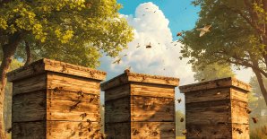 Акцыя «Цалкам бясплатна - сялянскія рамёствы!»