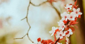 Запрашаем на свята вясны са скідкай!