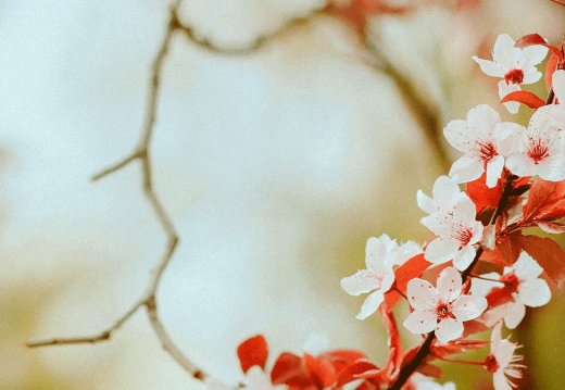 Запрашаем на свята вясны са скідкай!